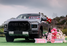 RELY威麟R08上市  8.88万起售-程序员中文网