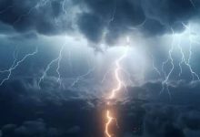 全链条追责,多家公司涉财务造假遭重罚-程序员中文网