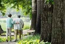 个人养老金产品超千只,该如何选择?-程序员中文网