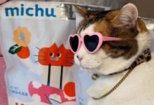 贵3倍也要买!中国小城的产品在美国杀疯了-程序员中文网