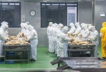 新华社四问预制菜,律师:中央厨房配送的餐食不属于预制菜范畴-程序员中文网