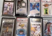 绝版卖出一套房价格的卡牌,是不是又一场郁金香泡沫?-程序员中文网