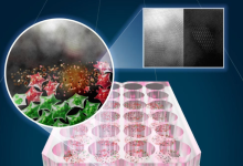 研究团队研发新型光照癌症疗法,30分钟杀死92%皮肤癌细胞-程序员中文网