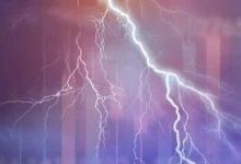 违规炒股！1人被罚没1.59亿，5年市场禁入-程序员中文网